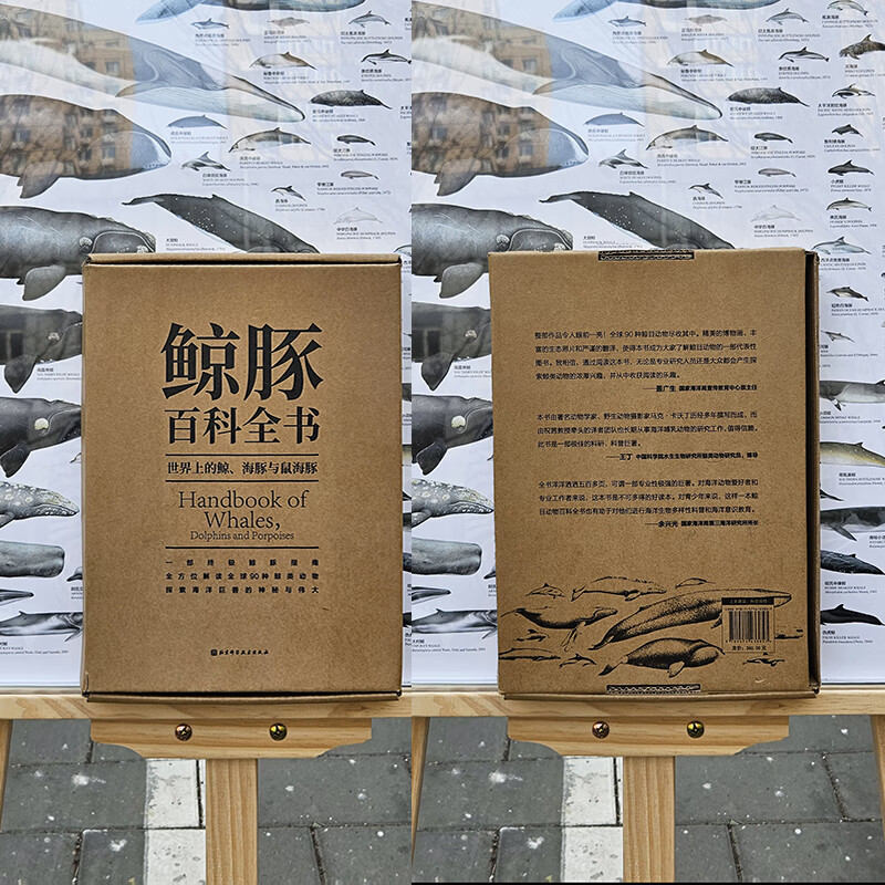 【鯨豚百科大全】（世界上的鯨、海豚與鼠海豚）