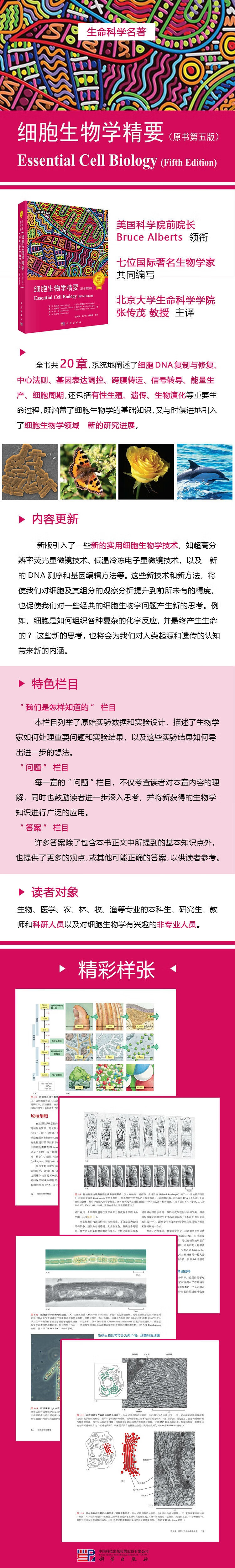 详情-01.jpg